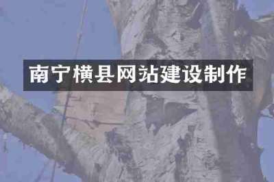 南宁横县网站建设制作
