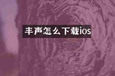 丰声怎么下载ios