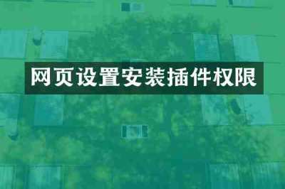 网页设置安装插件权限