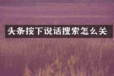 头条按下说话搜索怎么关