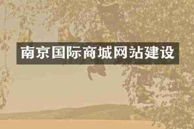 南京国际商城网站建设