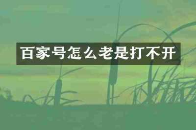 百家号怎么老是打不开