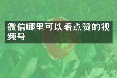 微信哪里可以看点赞的视频号