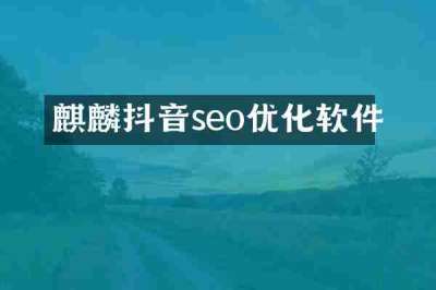 麒麟抖音seo优化软件
