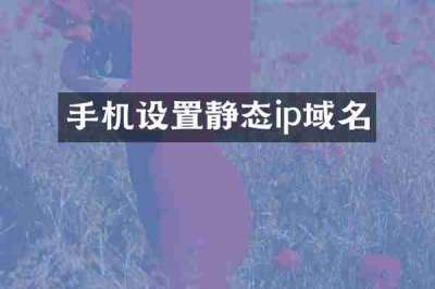 手机设置静态ip域名