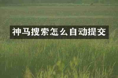 神马搜索怎么自动提交