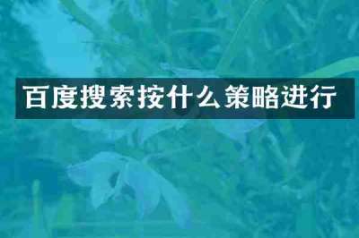 百度搜索按什么策略进行