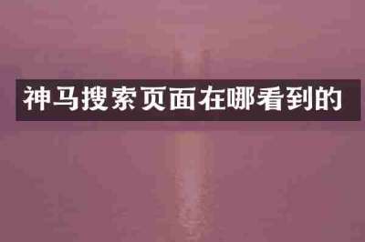 神马搜索页面在哪看到的