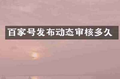 百家号发布动态审核多久