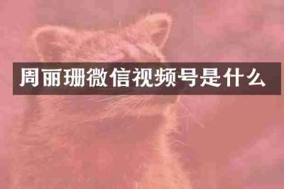 周丽珊微信视频号是什么