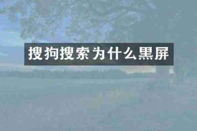 搜狗搜索为什么黑屏