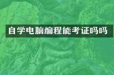 自学电脑编程能考证吗吗