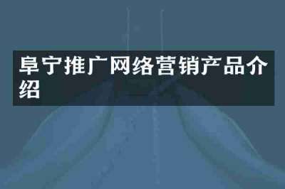 阜宁推广网络营销产品介绍