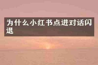 为什么小红书点进对话闪退