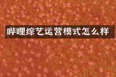 哔哩综艺运营模式怎么样