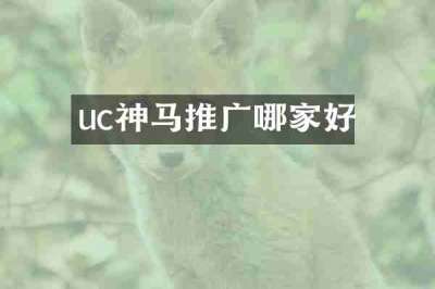 uc神马推广哪家好