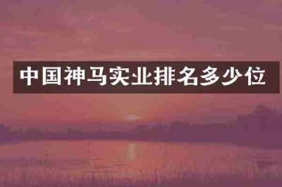中国神马实业排名多少位