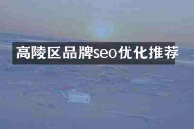 高陵区品牌seo优化推荐