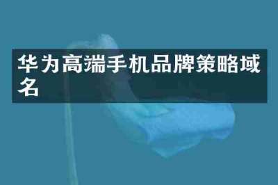 华为高端手机品牌策略域名