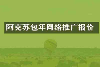 阿克苏包年网络推广报价