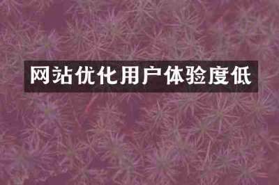 网站优化用户体验度低