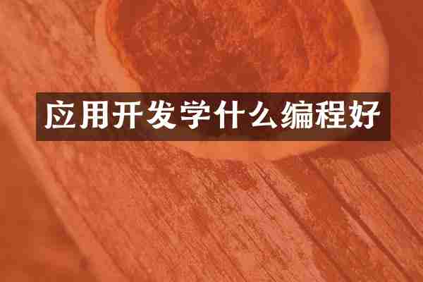 应用开发学什么编程好