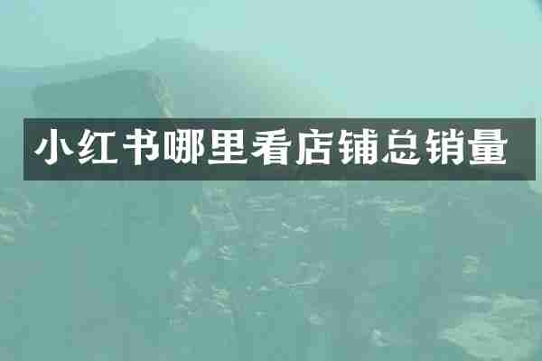 小红书哪里看店铺总销量