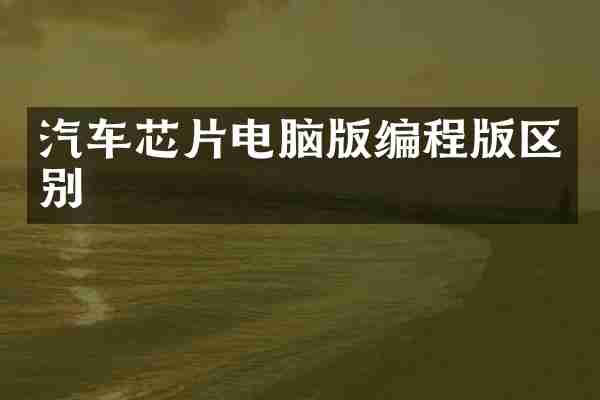 汽车芯片电脑版编程版区别