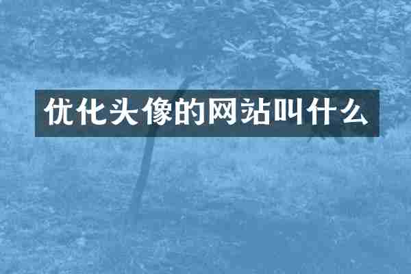 优化头像的网站叫什么