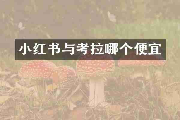 小红书与考拉哪个便宜