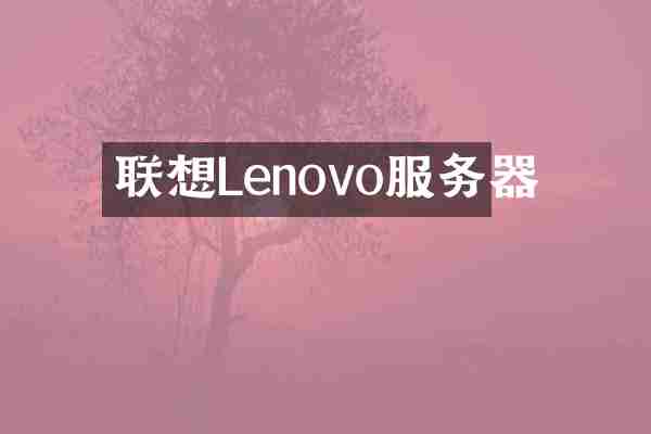 联想Lenovo服务器