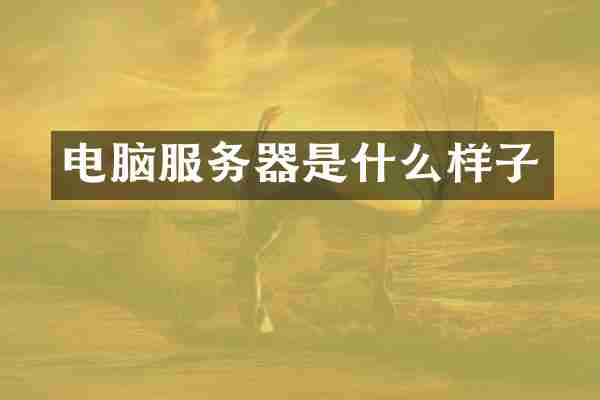 电脑服务器是什么样子