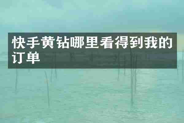 快手黄钻哪里看得到我的订单