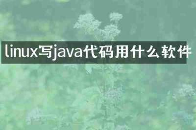linux写java代码用什么软件
