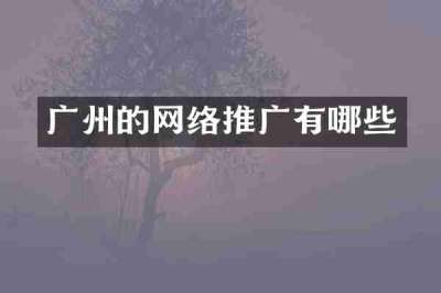 广州的网络推广有哪些