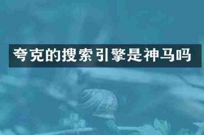 夸克的搜索引擎是神马吗