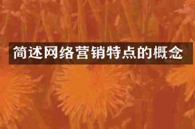简述网络营销特点的概念