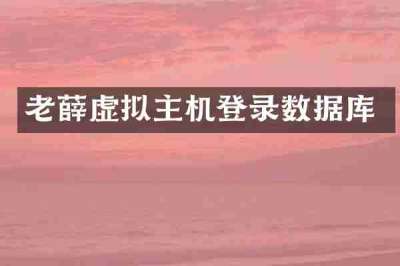 老薛虚拟主机登录数据库