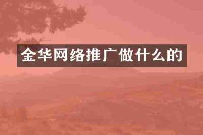 金华网络推广做什么的