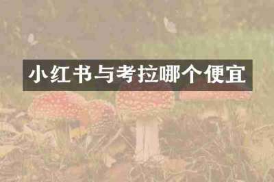 小红书与考拉哪个便宜