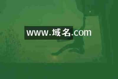 www.域名.com