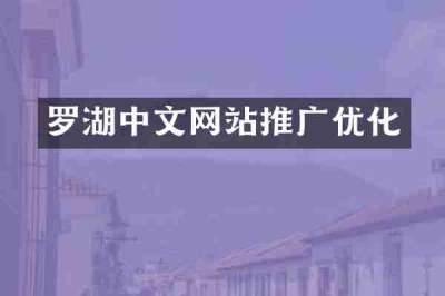 罗湖中文网站推广优化