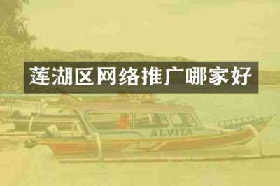 莲湖区网络推广哪家好
