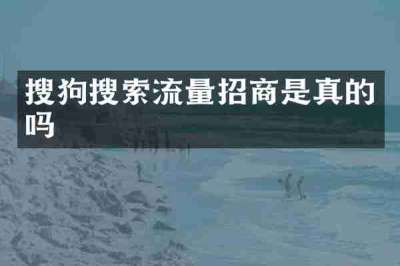 搜狗搜索流量招商是真的吗