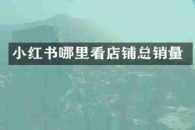 小红书哪里看店铺总销量