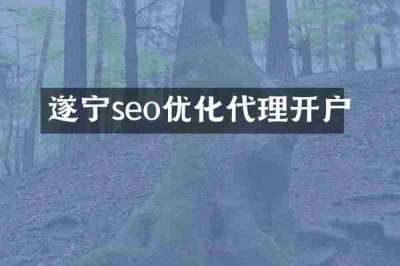 遂宁seo优化代理开户