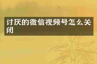 讨厌的微信视频号怎么关闭