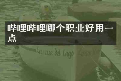 哔哩哔哩哪个职业好用一点