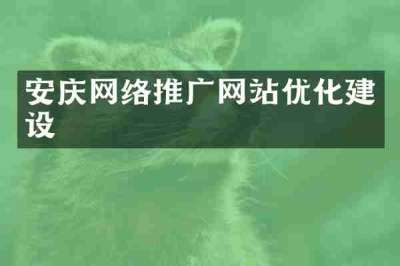 安庆网络推广网站优化建设