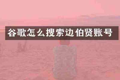 谷歌怎么搜索边伯贤账号
